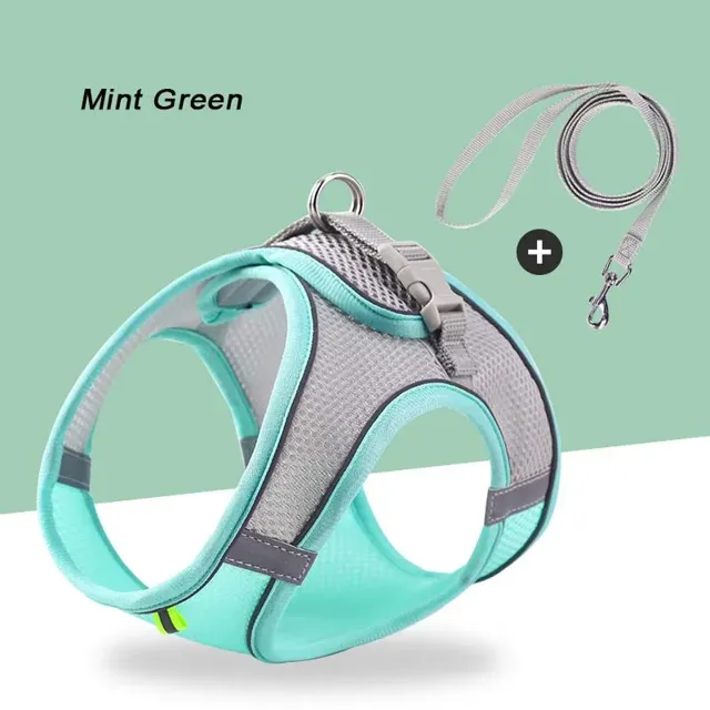 Escapaw mesh cat harness and matching leash set in mint green
