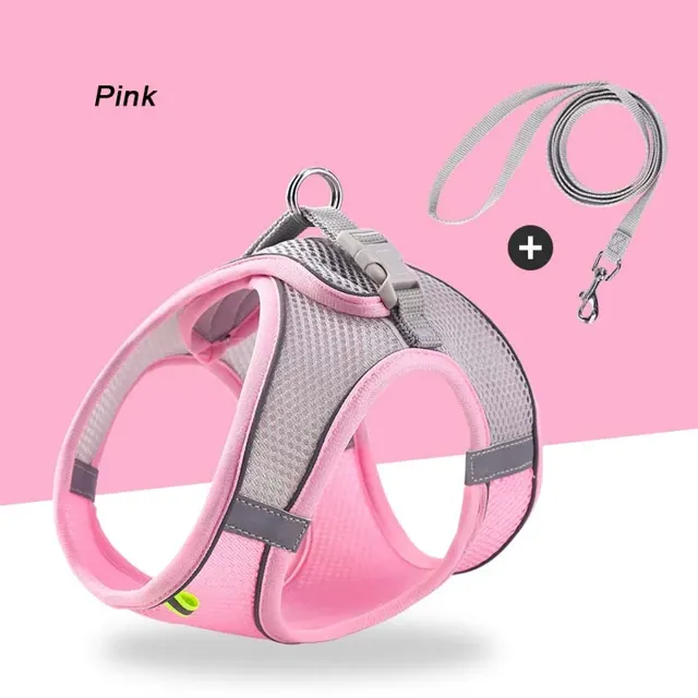 1 Set — Harness + matching leash