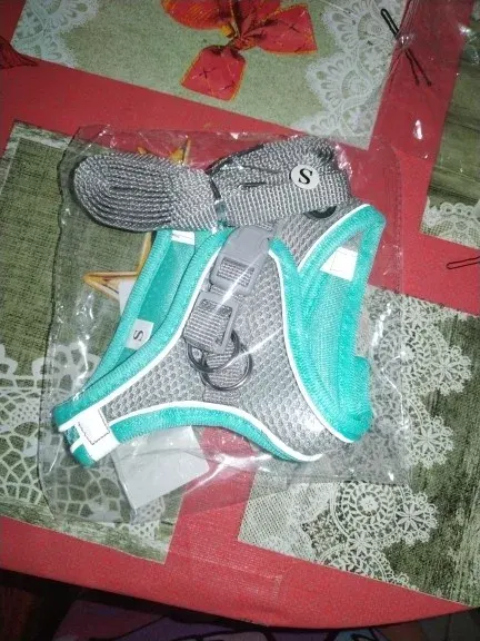 Mint green cat harness and matching leash set still in its packaging, photographed by a verified buyer