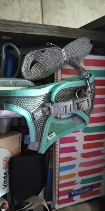 Mint green cat harness showing the buckle clip, metal D-ring and coiled matching leash, buyer photo
