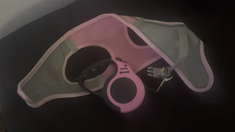 Pink cat harness with reflective strips photographed next to a retractable leash, buyer photo