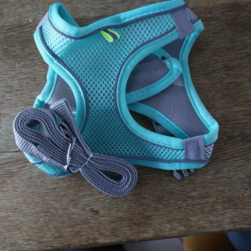Mint green cat harness with a coiled gray leash laid out on a wooden table, buyer photo