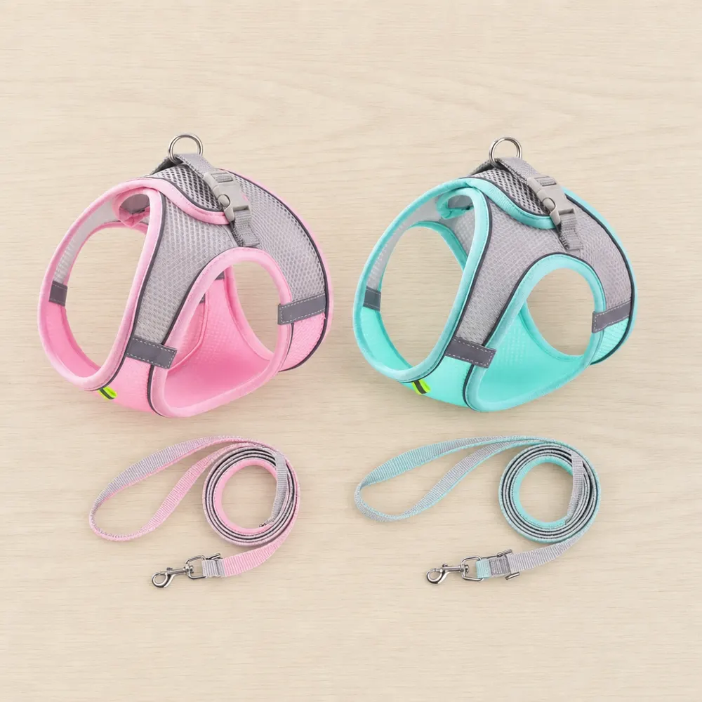 2-Pack — Two full harness + leash sets